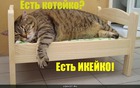 https://lolkot.ru/2010/06/15/malknkaya-ikeya/