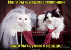 https://lolkot.ru/2011/12/14/malo-byt-ryadom-s-muzhchinoy/