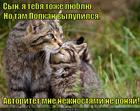 https://lolkot.ru/2015/06/19/mamkin-avtoritet/