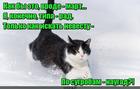 https://lolkot.ru/2017/03/31/mart-bez-ogonka/
