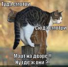 https://lolkot.ru/2013/03/06/mart-odnako/