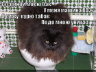 https://lolkot.ru/2012/04/25/mashina-vaz/