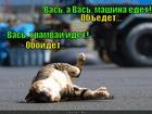 https://lolkot.ru/2012/09/20/mashina-yedet/