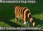 https://lolkot.ru/2012/11/25/maskiruyemsya-pod-tigra/