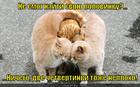 https://lolkot.ru/2013/02/08/matematichno-i-logichno/