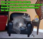 https://lolkot.ru/2015/11/15/matrasik-dlya-hozyayev/