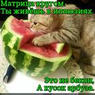 https://lolkot.ru/2018/06/30/matritsa-illyuziy/