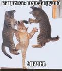https://lolkot.ru/2010/03/21/matritsa/