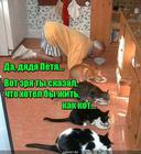 https://lolkot.ru/2015/10/25/mechty-vse-zhe-sbyvayutsya/
