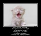 https://lolkot.ru/2016/10/11/melkokalibernyy-vorishka/