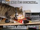 https://lolkot.ru/2011/01/27/menedzher-bez-soznaniya/