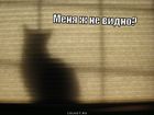 https://lolkot.ru/2011/09/26/menya-zh-ne-vidno/