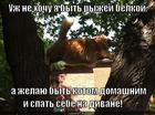 https://lolkot.ru/2013/10/03/menyayu-oreshki-na-kitiketshki/