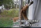 https://lolkot.ru/2012/09/27/meri-poppins-2/