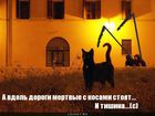 https://lolkot.ru/2011/05/09/mertvyye-s-kosami/