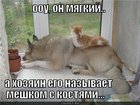 https://lolkot.ru/2010/10/28/meshkom-s-kostyami/