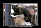 https://lolkot.ru/2013/03/03/metod-peredvizheniye/