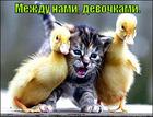 https://lolkot.ru/2010/10/01/mezhdu-devochkami/