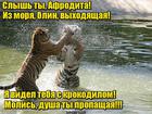 https://lolkot.ru/2015/12/22/mezhvidovoy-adyulter/