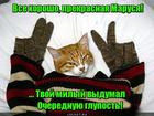 https://lolkot.ru/2016/06/27/milyy-na-gluposti-bogat/