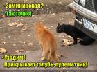 https://lolkot.ru/2016/07/23/minery-pod-prikrytiyem/