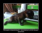https://lolkot.ru/2012/07/21/minzdrav-preduprezhdayet-2/