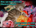 https://lolkot.ru/2015/07/22/mir-poni/