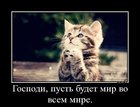 https://lolkot.ru/2012/03/16/mir-vo-vsem-mire/