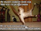 https://lolkot.ru/2012/02/25/mne-protivno/