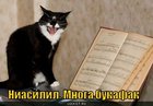 https://lolkot.ru/2011/03/29/mnoga-bukafak/