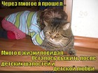 https://lolkot.ru/2011/11/14/mnogo-povidal/