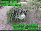 https://lolkot.ru/2016/04/30/mnogofunktsionalnoye-pomelo/