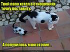 https://lolkot.ru/2016/09/06/mnogotochiye/