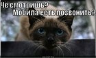 https://lolkot.ru/2011/08/05/mobila-yest-3/