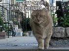 https://lolkot.ru/2012/08/20/moderatsiya-stoit/