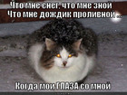 https://lolkot.ru/2012/01/07/moi-glaza-so-mnoy/