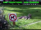 https://lolkot.ru/2011/10/23/moi-pravila/