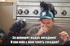 https://lolkot.ru/2018/09/16/mokraya-progulka/