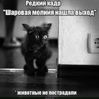 https://lolkot.ru/2024/09/10/molniyenosnyy-vyhod/