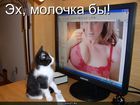 https://lolkot.ru/2010/07/26/molochka-by/