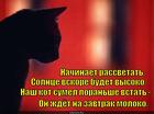 https://lolkot.ru/2014/11/23/molochnyy-zavtrak-v-luchah-rassveta/
