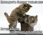 https://lolkot.ru/2011/12/09/molodost-byvayet-tolko-raz/