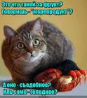 https://lolkot.ru/2016/08/25/morefrukt/