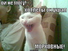 https://lolkot.ru/2012/01/27/morkovnyye-kotlety/