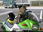 https://lolkot.ru/2010/01/14/moto-koto/