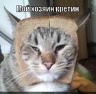 https://lolkot.ru/2012/06/06/moy-hozyain-kretin/