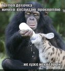 https://lolkot.ru/2010/10/07/moya-detochka/