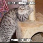 https://lolkot.ru/2012/08/08/moya-prelest-9/