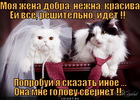 https://lolkot.ru/2011/12/09/moya-zhena/