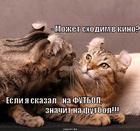 https://lolkot.ru/2012/10/09/mozhet-v-kino/